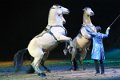 Apassionata_2014    122